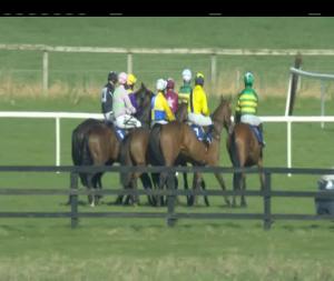 Video preview image for Naas 14:10 - Irish Racing Writers Kingsfurze Novice Hurdle (Listed)