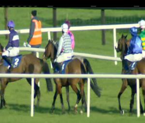Video preview image for Naas 16:20 - Martinstown Opportunity Maiden Hurdle