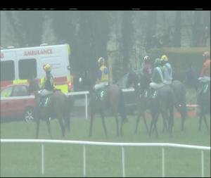 Video preview image for Navan 17:05 - Newgrange Veterans Handicap Chase