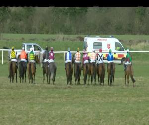 Video preview image for Thurles 13:55 - Irish Stallion Farms E.B.F. Mares Beginners Chase