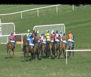 Video preview image for Thurles 14:10 - Martinstown Opportunity Maiden Hurdle