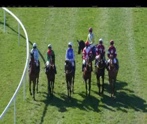 Video preview image for Thurles 14:45 - Enjoy White Gypsy At Finns Borrisoleigh Hurdle