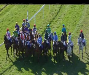 Video preview image for Thurles 15:20 - Clonoulty Handicap Hurdle (80-95)