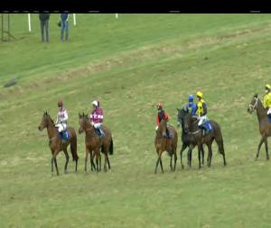 Video preview image for Thurles 17:15 - Fethard Flat Race