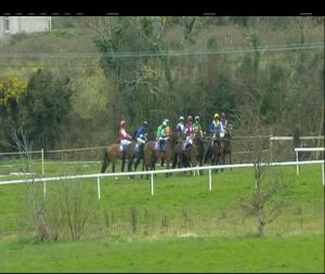 Video preview image for Wexford 14:20 - Pinnacle, Tomcoole, Waters & Kelly's Farmhouse Bakery Maiden Hurdle