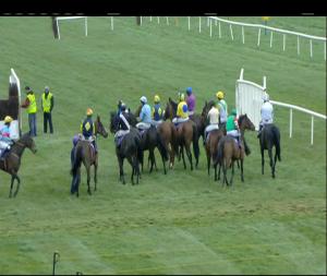 Video preview image for Wexford 17:25 - Arctic Tack Stud Veterans Handicap Chase