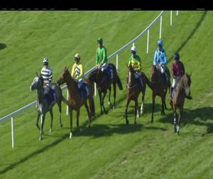 Video preview image for Ballinrobe 18:00 - Mchale Pro Glide Mower Range Rated Novice Hurdle