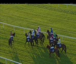 Video preview image for Ballinrobe 19:50 - Weddings At Breaffy Beginners Chase