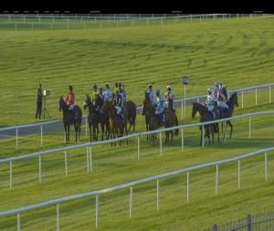 Video preview image for Ballinrobe 20:20 - Private Dining At Breaffy Flat Race