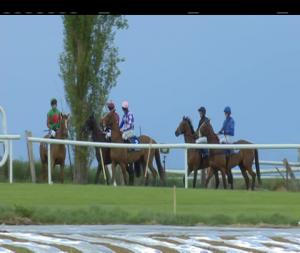 Video preview image for Clonmel 18:00 - Clonmel Racecourse Supporters Club Guest Evening Hurdle