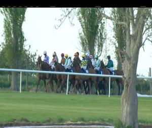Video preview image for Clonmel 19:20 - Tipperary Perpetual Cup Handicap