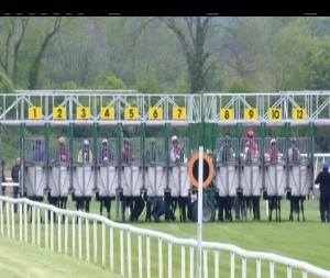 Video preview image for Cork 13:30 - Irish Stallion Farms EBF Fillies Handicap