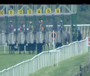 Video preview image for Cork 14:00 - www.corkracecourse.ie Handicap (45-65)