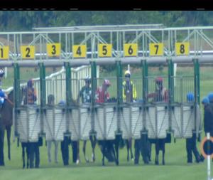 Video preview image for Cork 14:35 - Foran Equine Irish EBF Auction Maiden