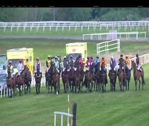 Video preview image for Cork 17:05 - Irish Stallion Farms EBF Mares Maiden Hurdle
