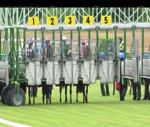 Video preview image for Cork 17:15 - Irish Stallion Farms EBF Maiden (Plus 10)