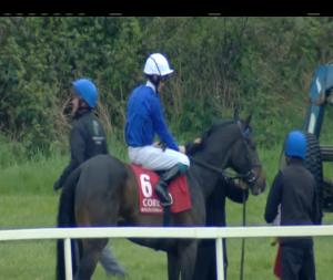 Video preview image for Cork 17:30 - Irish Stallion Farms EBF Maiden