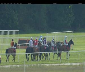 Video preview image for Cork 17:35 - Follow Us On Twitter Rated Novice Hurdle