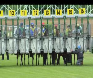 Video preview image for Cork 17:50 - Cork Racecourse Apprentice Handicap