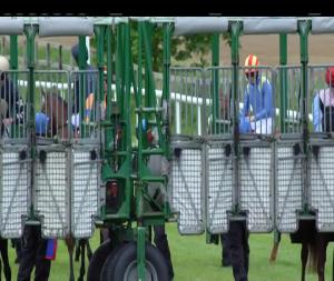 Video preview image for Cork 18:20 - Irish Stallion Farms EBF Fillies Maiden (Plus 10)