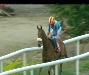 Video preview image for Cork 18:55 - Mallow Town Summer Bbq Evening July 14th Handicap