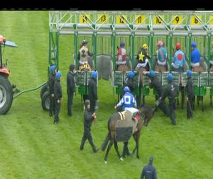 Video preview image for Cork 20:00 - Irish Stallion Farms EBF Median Auction Fillies Maiden