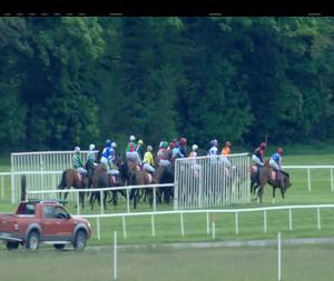 Video preview image for Cork 20:15 - Irish Stallion Farms EBF Mares Flat Race