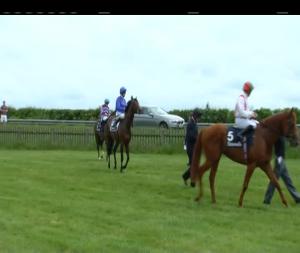 Video preview image for Curragh 14:20 - Tattersalls Gold Cup (Group 1)