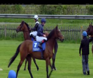 Video preview image for Curragh 15:25 - Courtyard Shopping Centre Newbridge Race