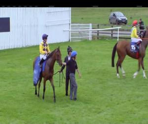 Video preview image for Curragh 17:30 - Irish Stallion Farms EBF 'Habitat' Handicap