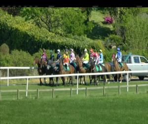 Video preview image for Downpatrick 17:15 - Now Selling Coors At Downpatrick Maiden Hurdle