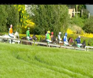 Video preview image for Downpatrick 17:25 - Friday Nights Alright Maiden Hurdle
