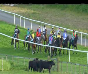 Video preview image for Downpatrick 19:35 - Coors Lite Handicap Chase (0-102)
