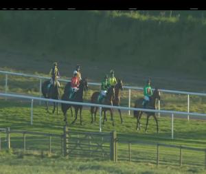 Video preview image for Downpatrick 19:55 - Bmg Insurance Maiden Hunters Chase