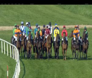 Video preview image for Down Royal 17:20 - Bet With The Tote Flat Race