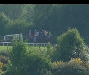 Video preview image for Down Royal 19:15 - Workpal Handicap Hurdle 