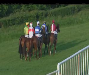 Video preview image for Down Royal 20:15 - O2 Handicap Chase