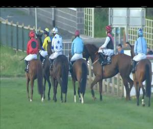Video preview image for Down Royal 20:45 - Glenpatrick Sport Horses I.N.H. Flat