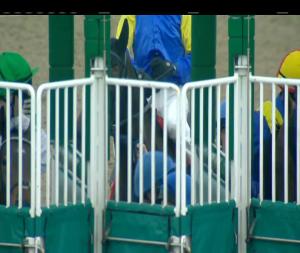 Video preview image for Dundalk 17:40 - Greyhound Racing Every Friday and Saturday Night At Dundalk Claiming Race