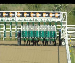 Video preview image for Dundalk 17:45 - Irish Stallion Farms EBF Maiden (Plus 10)