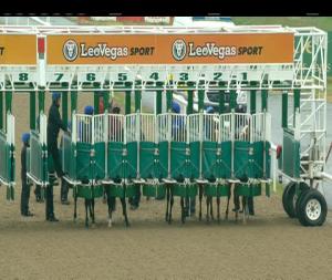 Video preview image for Dundalk 18:10 - Book Your Fundraising Night At Dundalk Maiden