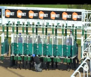 Video preview image for Dundalk 18:15 - 12th July Horse & Greyhound Racing Maiden