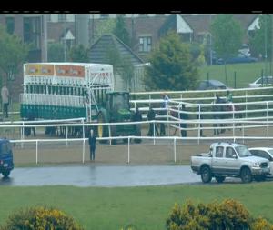 Video preview image for Dundalk 19:20 - Irish Stallion Farms European Breeders Fund Median Auction Maiden