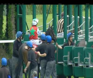 Video preview image for Gowran Park 15:55 - Irish Stallion Farms EBF Fillies Maiden