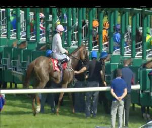 Video preview image for Gowran Park 16:55 - Kilkenny Senior Hurlers Race Day June 24th Handicap (45-65) (Div 1)
