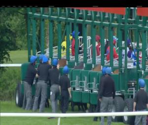 Video preview image for Gowran Park 17:25 - Kilkenny Senior Hurlers Race Day June 24th Handicap (45-65) (Div 2)