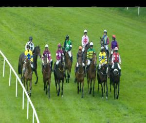 Video preview image for Kilbeggan 19:30 - Sean Hughes Memorial Mullingar Park Hotel Beginners Chase