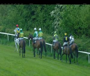Video preview image for Kilbeggan 20:05 - Belvedere House, Gardens & Park Handicap Chase