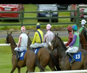 Video preview image for Killarney 15:35 - Redweld Stables Handicap Hurdle (Grade B)