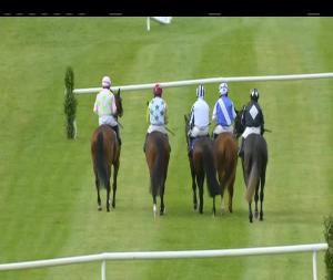 Video preview image for Killarney 16:35 - Killarney Outlook Publications Novice Chase